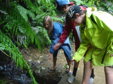 Pooh sticks